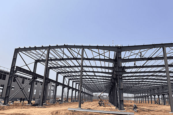 Steel Structure Workshop Building: Basic Knowledge and Comparison